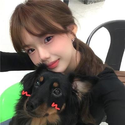 红尾鸽